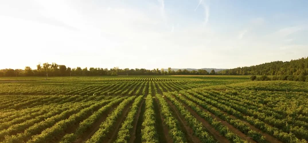 Contacte Agro Quatrevi