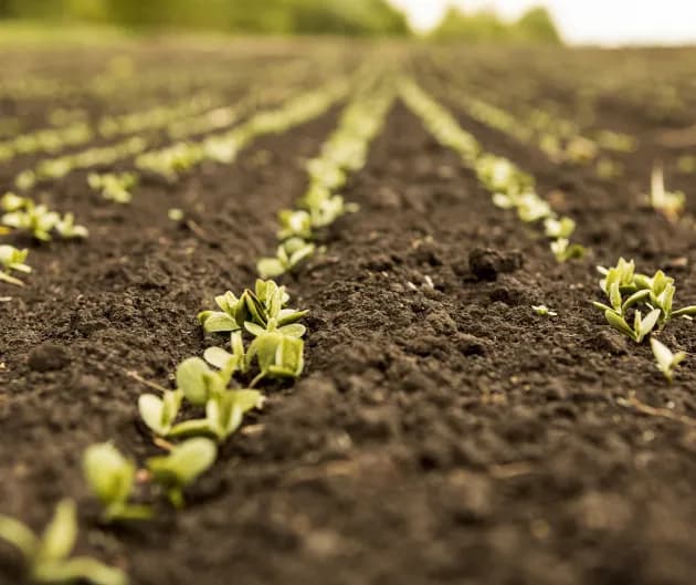 Mirat Agroserveis