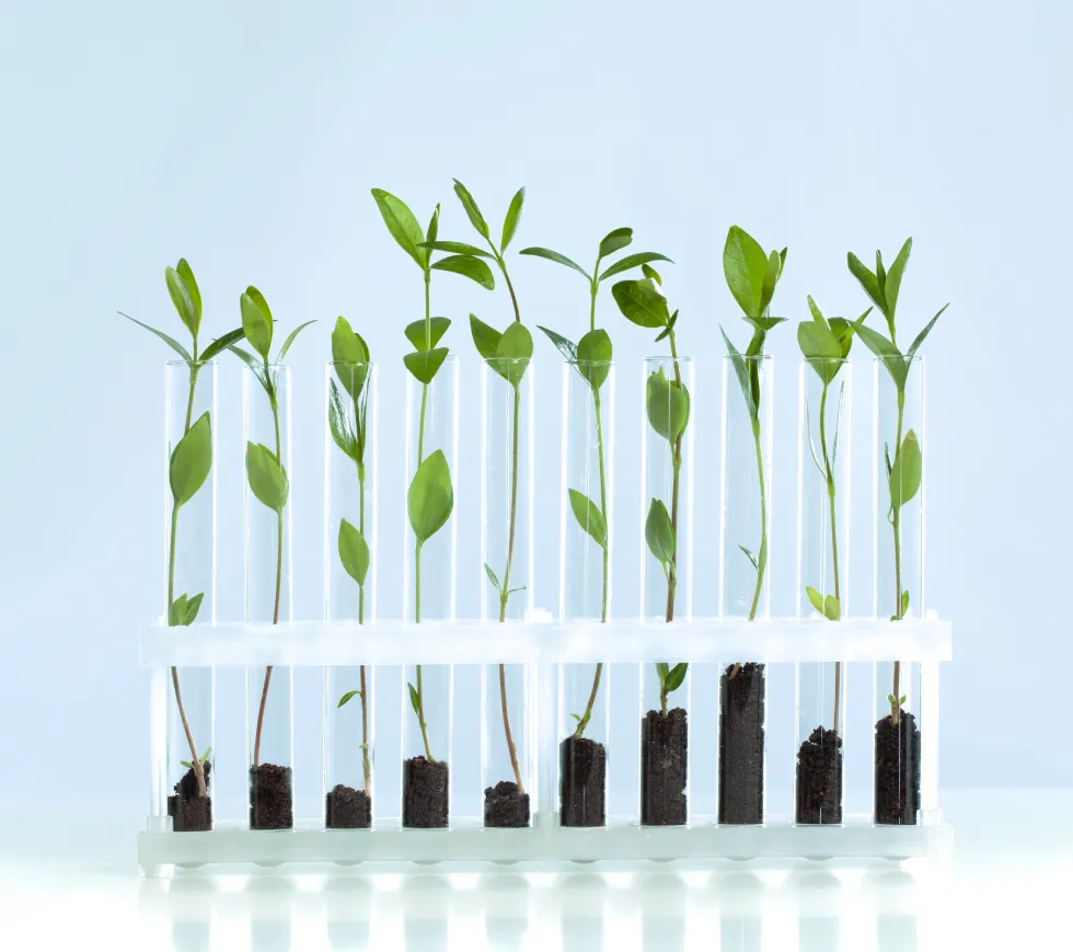 Mirat Bioscience