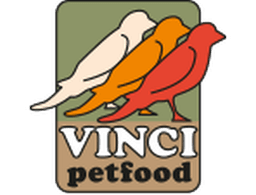 Vinci